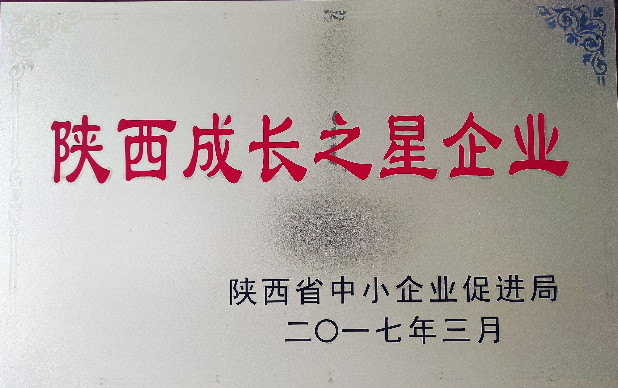 陜西省成長之星企業(yè)